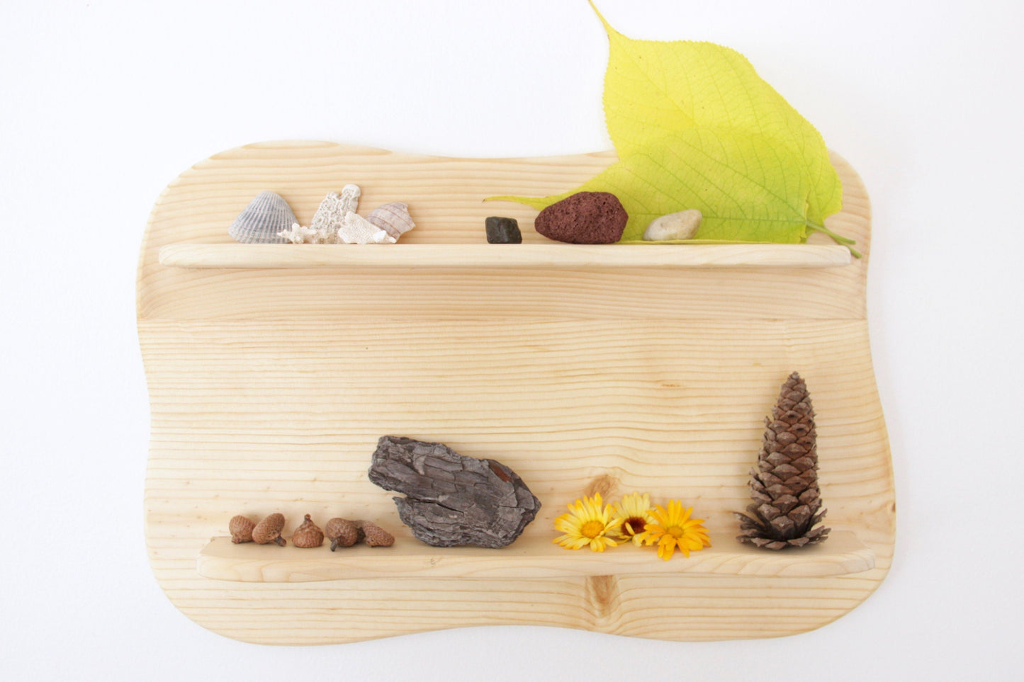 Natural Toy Display Shelf