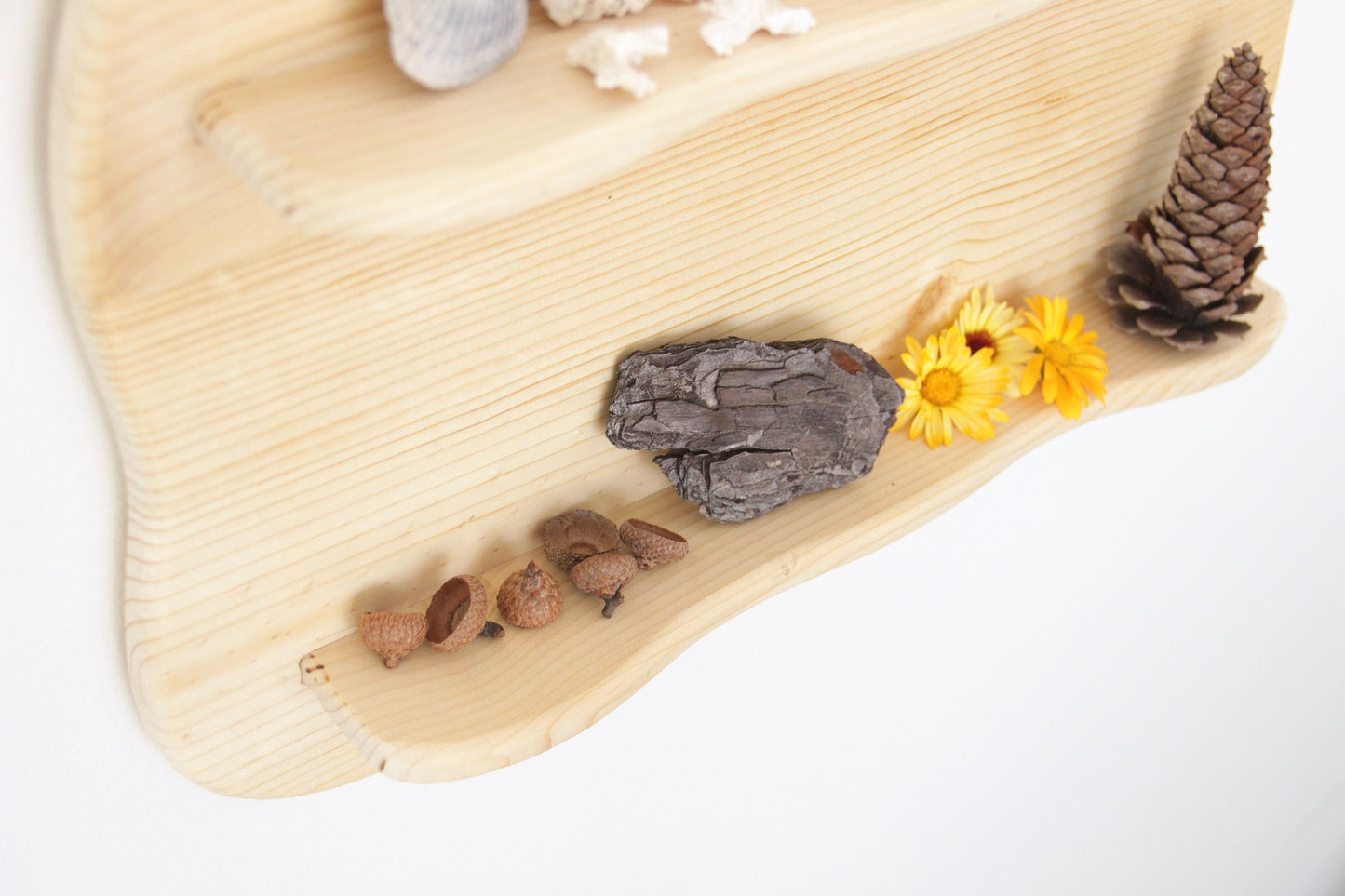 Natural Toy Display Shelf