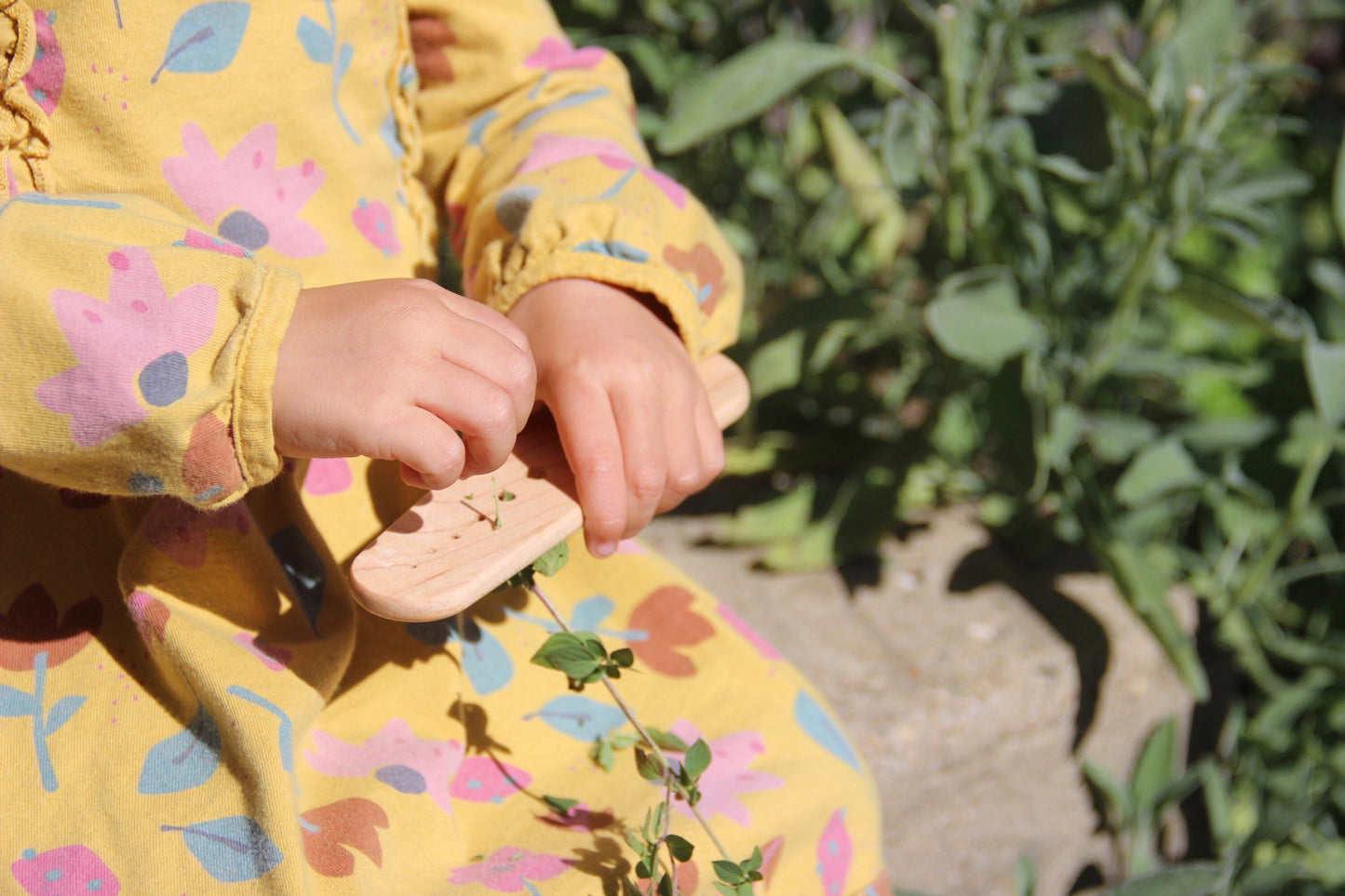 Wood Herb Stripper